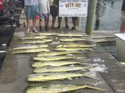 Bite Me Sportfishing Charters, Big Gaffers!