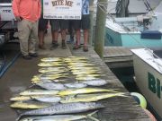 Bite Me Sportfishing Charters, Meat Slam!