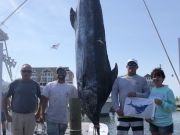 Bite Me Sportfishing Charters, 596 lbs