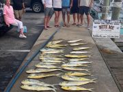 Bite Me Sportfishing Charters, Team Monkalur on the dolphins