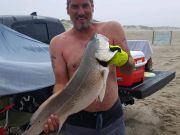 OBX Bait & Tackle Corolla Outer Banks, Corolla Fish Report