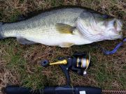 TW’s Bait & Tackle, Daily Fishing Report