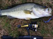 TW’s Bait & Tackle, Daily Fishing Report