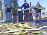 Tuna Duck Sportfishing, Mahi