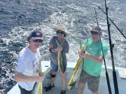 Tuna Duck Sportfishing, Mahi Today