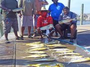 Tuna Duck Sportfishing, Search For Mahi
