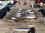 Pirate's Cove Marina, Meat Slam!