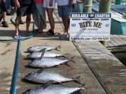 Bite Me Sportfishing Charters, Blackfin tuna