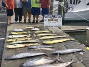 Bite Me Sportfishing Charters, Tuna Dolphin Wahoo!