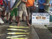 Bite Me Sportfishing Charters, Pretty Day