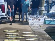 Bite Me Sportfishing Charters, Looking far and wide