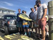 Bite Me Sportfishing Charters, The Georges caught a large mess o Mahi!