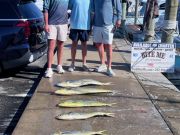 Bite Me Sportfishing Charters, Pretty Day but Scrappy Fishin'