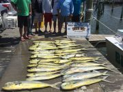 Bite Me Sportfishing Charters, Found Em!