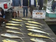 Bite Me Sportfishing Charters, Pretty sunrise, good dolphin fishing and a tuna!