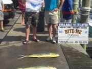 Bite Me Sportfishing Charters, Hard Luck