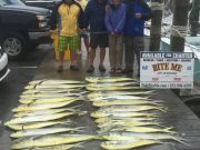 Bite Me Sportfishing Charters, Great Gaffer Dolphin Fishing!