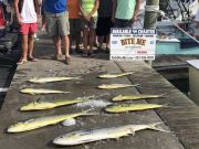 Bite Me Sportfishing Charters, Searched Far and Wide!