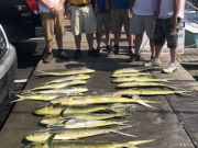 Bite Me Sportfishing Charters, Let's Go!  Mountaineers!