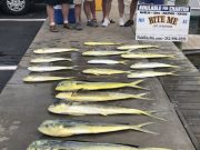 Bite Me Sportfishing Charters, Backlash Rides Again!