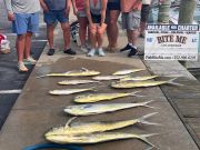 Bite Me Sportfishing Charters, Dolphins and a tuna