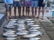Bite Me Sportfishing Charters, Springtime Meat Tuna Dolphin
