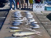 Bite Me Sportfishing Charters, Jules and the Delaware Destroyers