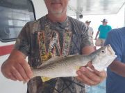 Miss Oregon Inlet II Head Boat Fishing, Speckled Grey is the New Beautiful Fall Color