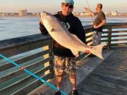 TW’s Bait & Tackle, Daily Fishing Report