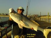 TW’s Bait & Tackle, Daily Fishing Report