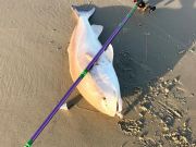 TW’s Bait & Tackle, Daily Fishing Report