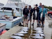 Pirate's Cove Marina, Sushi Anyone?