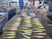 Pirate's Cove Marina, Thursday’s Catch!