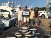 OBX Bait & Tackle Corolla Outer Banks, Corolla Fish Report