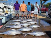 OBX Bait & Tackle Corolla Outer Banks, Corolla Fish Report