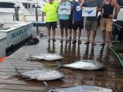 Pirate's Cove Marina, One Fish Two Fish