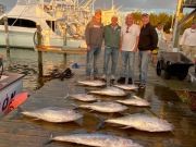 Pirate's Cove Marina, Monday’s Catch!