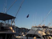 Pirate's Cove Marina, Gone Fishin’