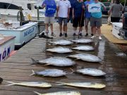 Pirate's Cove Marina, Monday’s Catch