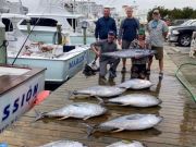 Pirate's Cove Marina, Tuna Tally