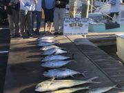 Bite Me Sportfishing Charters, Tuna!  Dolphin!  Sailfish!