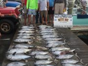 Bite Me Sportfishing Charters, Tunas Tunas Tunas!