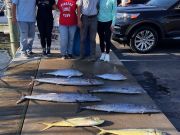 Bite Me Sportfishing Charters, Wahoos Tunas Dolphins