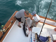Oregon Inlet Fishing Center, Unstoppable Sunday