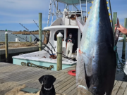 Oregon Inlet Fishing Center, Making the most of the time given!