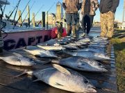 Oregon Inlet Fishing Center, Cold with HOT Bites