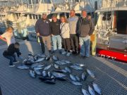 Oregon Inlet Fishing Center, Blackfin Tuna Today