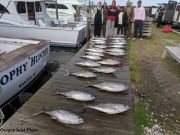 TW’s Bait & Tackle, Daily Fishing Report