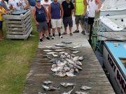 TW’s Bait & Tackle, Daily Fishing Report