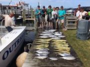 OBX Bait & Tackle Corolla Outer Banks, Corolla Fish Report